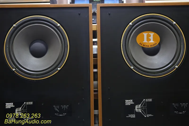 Tại sao nên mua Loa Tannoy Arden Kiềng Tròn củ 385 Anico?