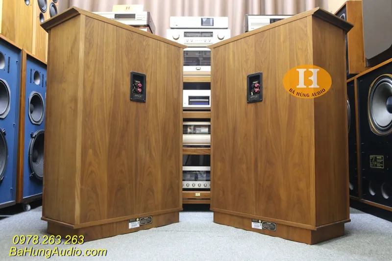 Những ưu điểm vượt trội của dòng loa bãi Tannoy