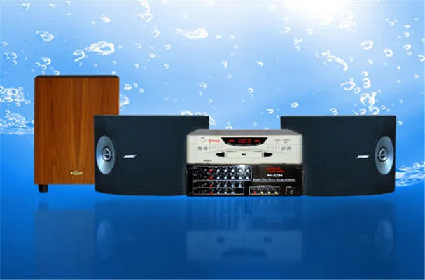 Hiệu ứng tiếng vang gặp khi sự cố sử dụng dàn karaoke